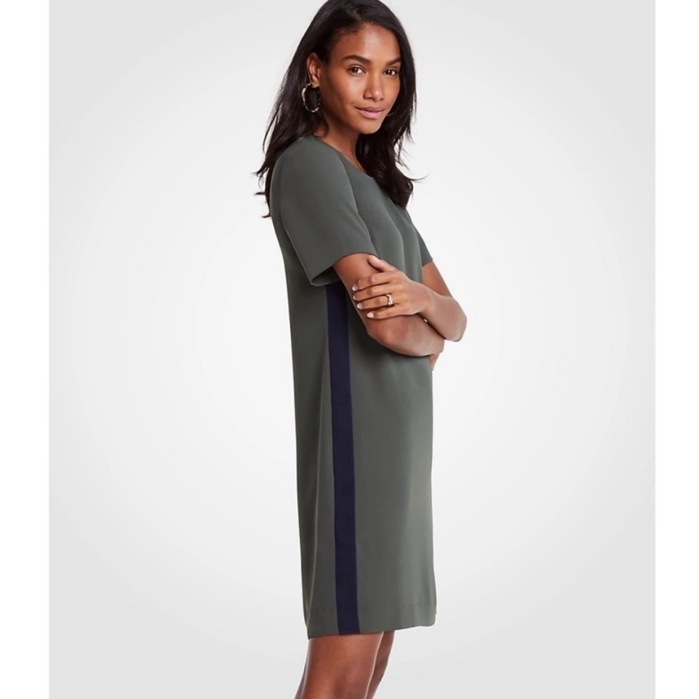Ann Taylor Green Shift T Shirt Dress with Blue Side Stripe Lagenlook Sz 10